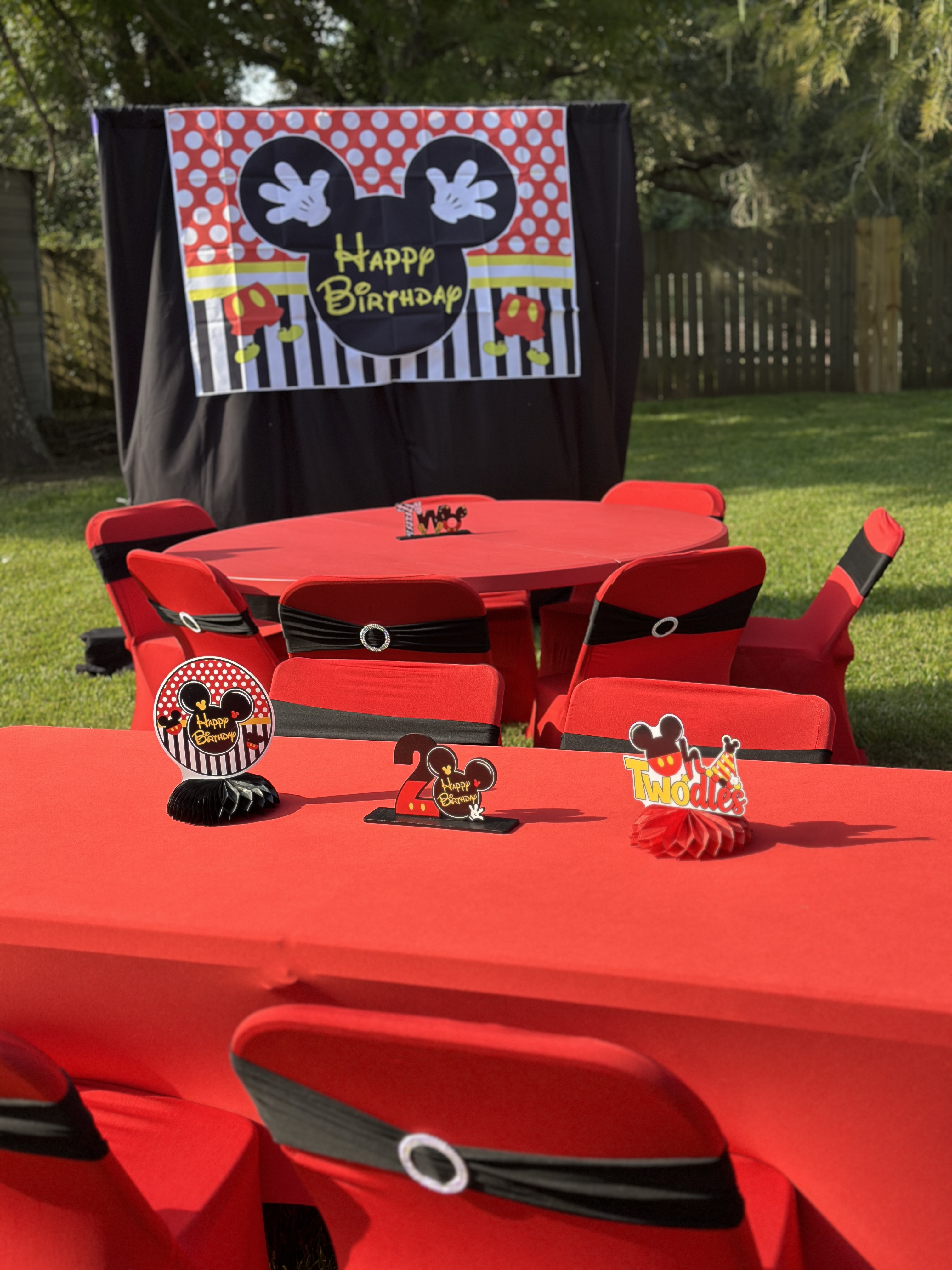 Themed birthday party setup